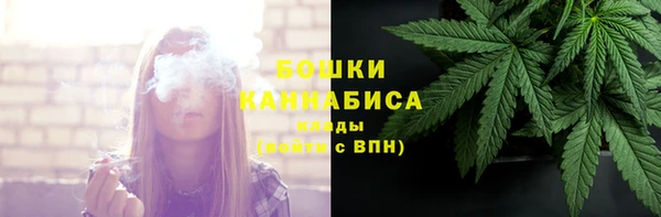 прущие грибы Навашино