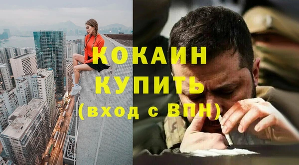 прущие грибы Навашино