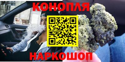 кокс Кингисепп