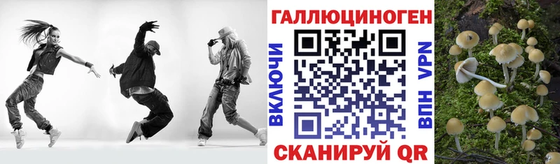 Галлюциногенные грибы Cubensis  Саки 