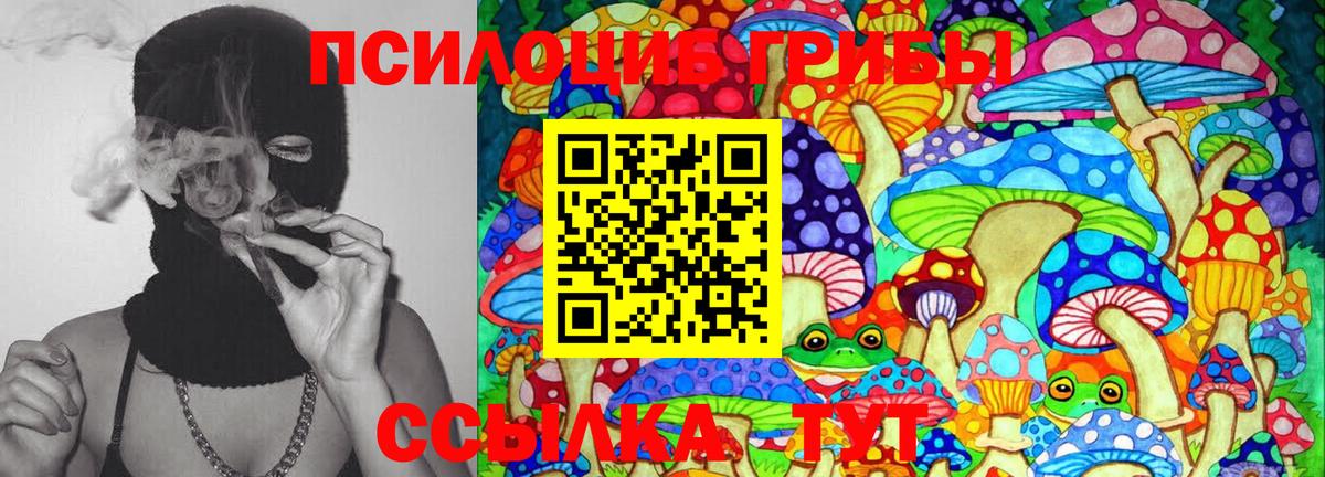 Галлюциногенные грибы Psilocybe  Вход с VPN  Саки  Галлюциногенные грибы ЛСД 