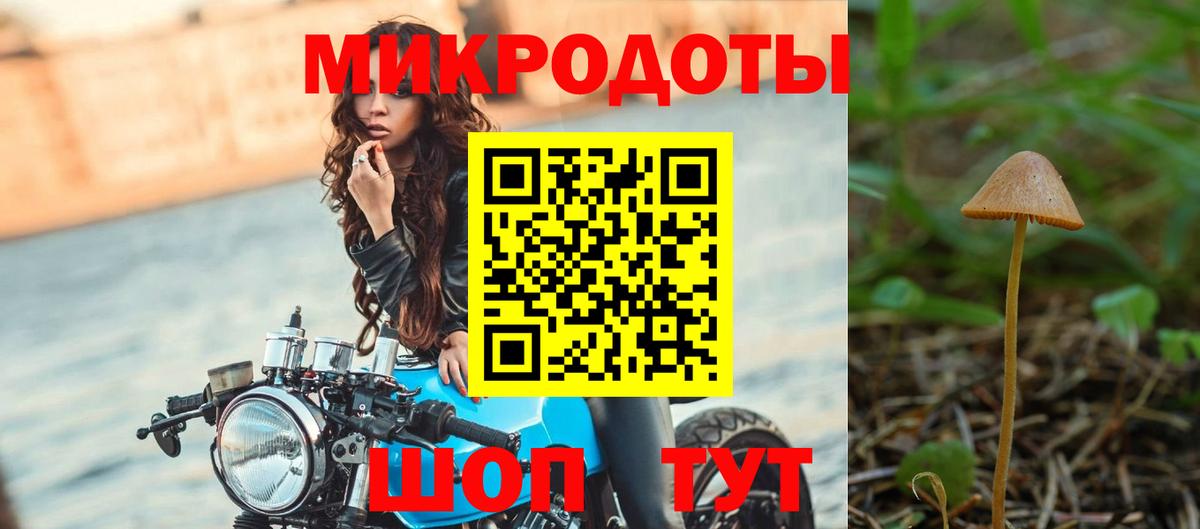 APVP Саки